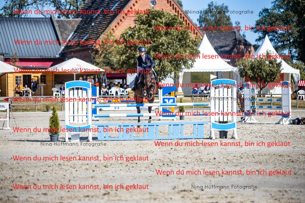 BK1A5798 | Turnierbilder Turnierfotos Nina Hüffmann Turnierfotografie Pferdefotografie Tierzeichnung Haustierzeichnung Pferdezeichnung Hundezeichnung Videograf  - Realisiert mit Pictrs.com