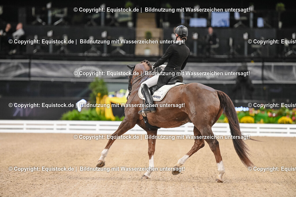 20251112_Dressur_iWest_TOMSPIC_02140214 | Foto: Thomas Hartig