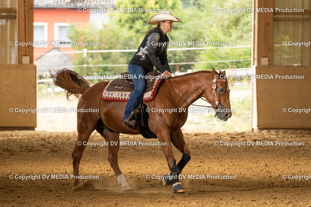 LAU01640 | dv-media-shop - Realisiert mit Pictrs.com