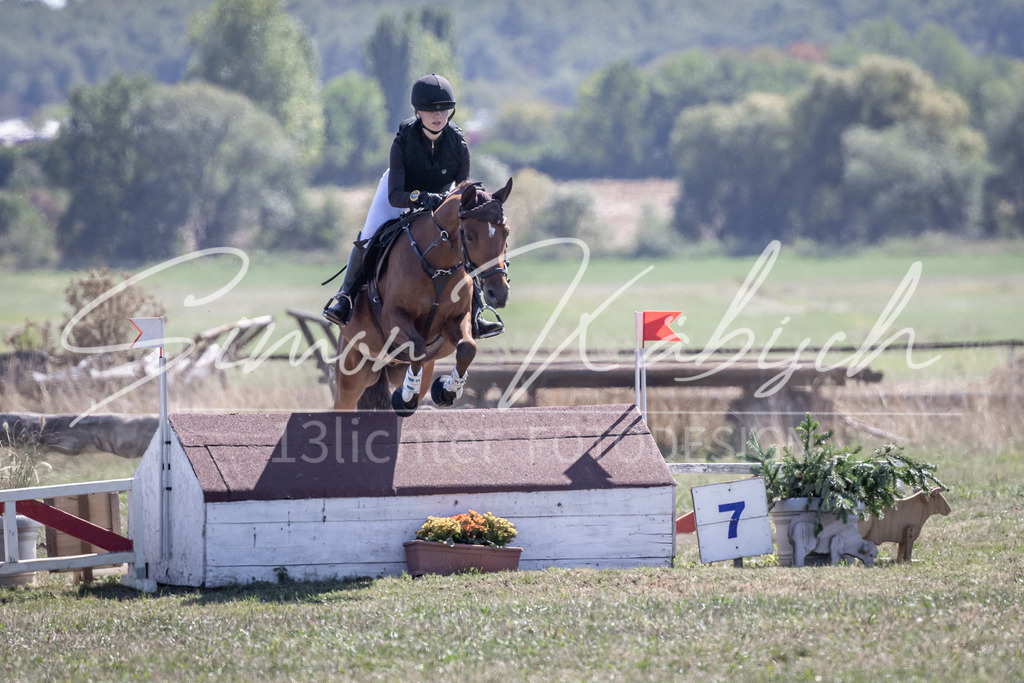 20260906-_3LI4262 | Tierfotografie Pferde, Hunde, Katzen, Haustiere.
Turnierfotografie Reitturniere, Reiten, Springreiten, Dressur in Hanau, dem Main-Kinzig-Kreis und dem Rhein-Main- Gebiet um Frankfurt