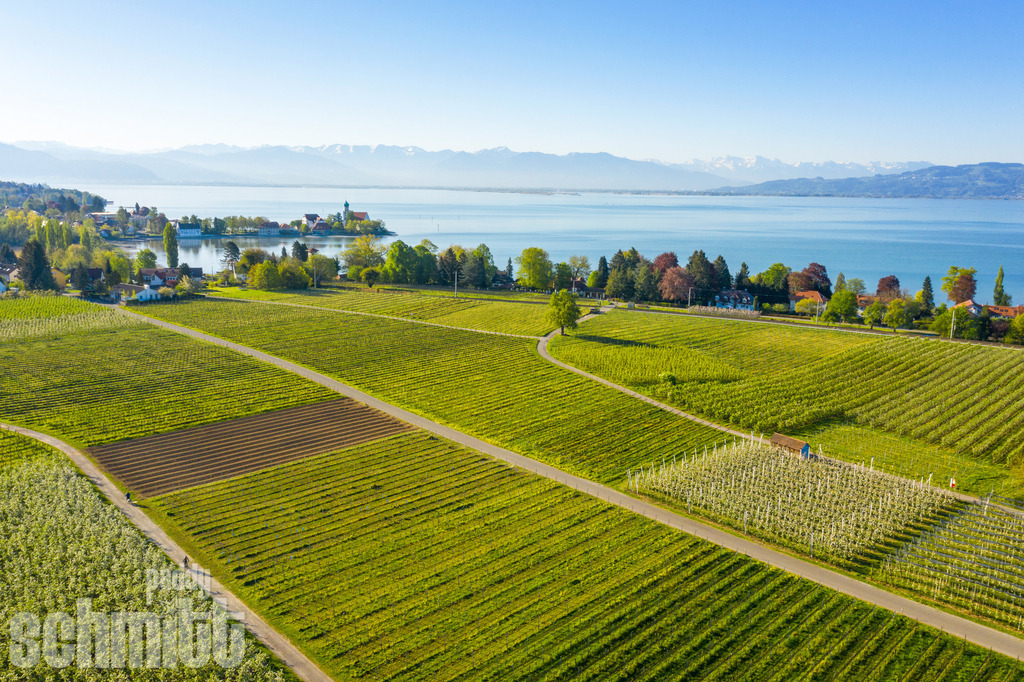 PS-Bodenseeregion-2026-09 | Entdecke die größte Bildgalerie der Region mit Fotografien aus dem Allgäu, der Bodenseeregion, Oberschwaben, dem Donautal und der Schwäbischen Alb. Landschaften, Luftaufnahmen und Reisefotografie als Wandbild und Fotokunst. - Realisiert mit Pictrs.com