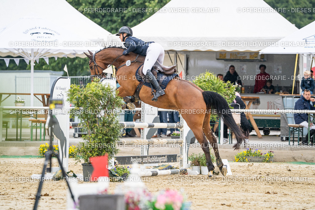 DSC00884 | Pferdegrafie