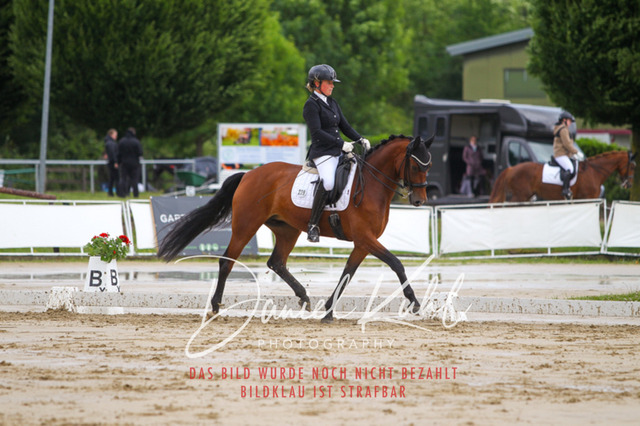 DKP40622 | Turniersportfotografie; Pferdefotografie; Dressurfotografie