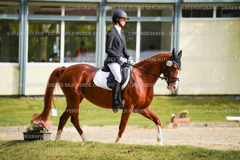 DSC04545 | Pferdegrafie