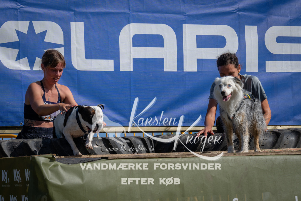 1107_ZZ90726 | kk-dogfotos