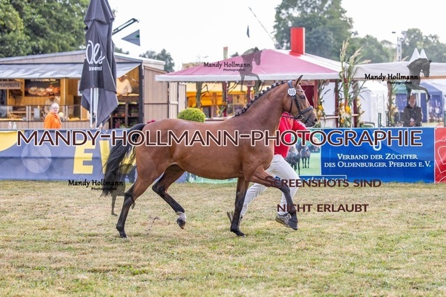 DR (163 von 2698) | mandyhollmannphotographie