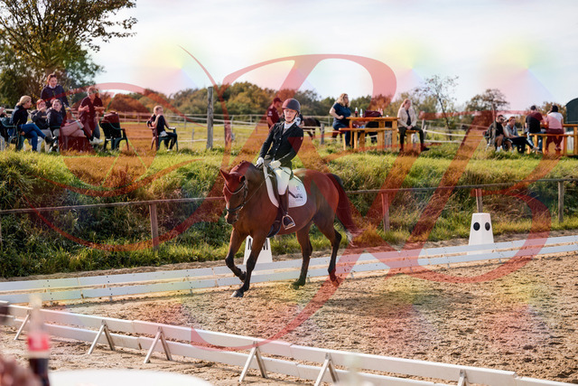 2026_10_03_Siefer-Hof_131004_Z63_72229478 | Professionelle Reitsport-, Turnier- und Eventfotografie von Robert Broda. Galerien mit ausgewählten und bearbeiteten Bildern direkt online ansehen und bestellen.