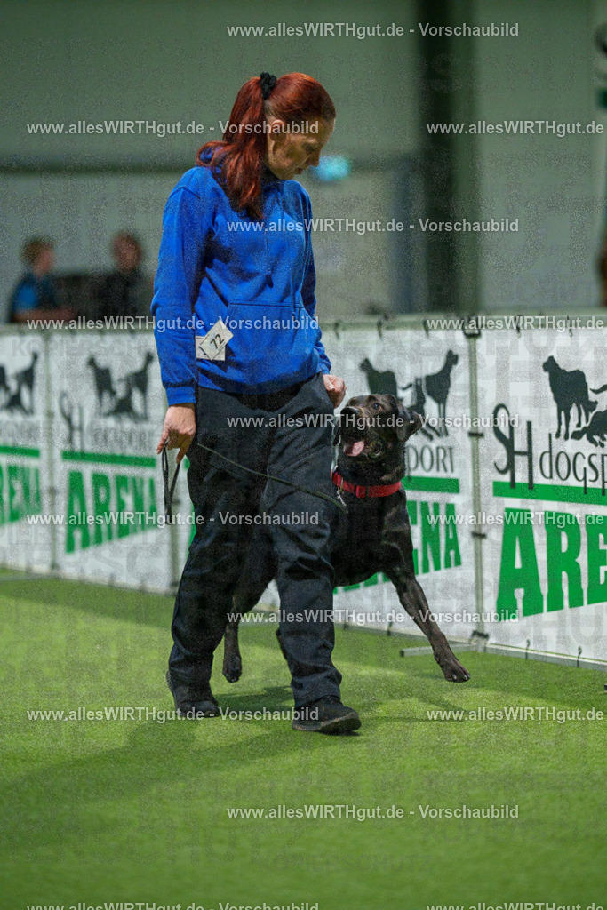 7R508404 | Professionelle Tierfotografie in Mönchengladbach von Daniel Wirth (allesWIRTHgut). Liebevolle & natürliche Bilder von Hunden & Katzen für unvergessliche Erinnerungen.