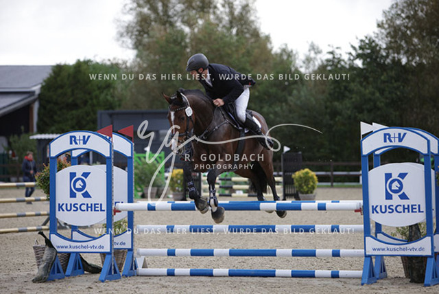 1J2A0283Melvin Henze_ Miss Colman 2_ Kn739_ Havekost | Foto- und Videografie für alles rund ums Pferd. Hochwertige Bilder und Videos vom Spring- und Dressurreiten, Voltigieren & mehr. Jetzt aktuelle Veranstaltungen und Preise im Shop ansehen. - Realisiert mit Pictrs.com