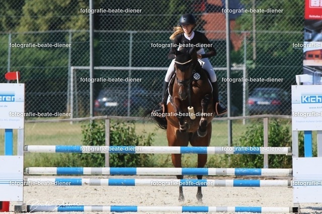 OHT 2022 Röhlingen (72) | Fotografie, Tiere, Hunde, Katzen, Pferde, Sportfotografie, Fotosession, Tierfotografie, Turnierfotografie, Fotografin, Fotograf - Realisiert mit Pictrs.com