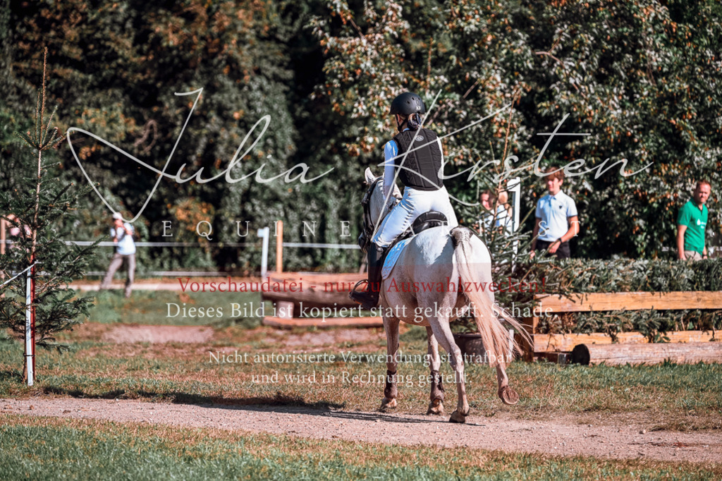 DSC_0645 | Pferde- und Turnierfotografie in Westsachsen. Pferdeportraits, Auftragszeichnungen und intuitive Kunst.
