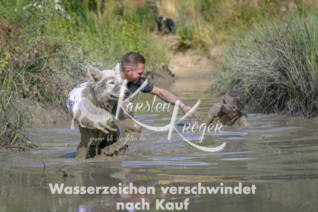 1642_ZZ97330 | kk-dogfotos