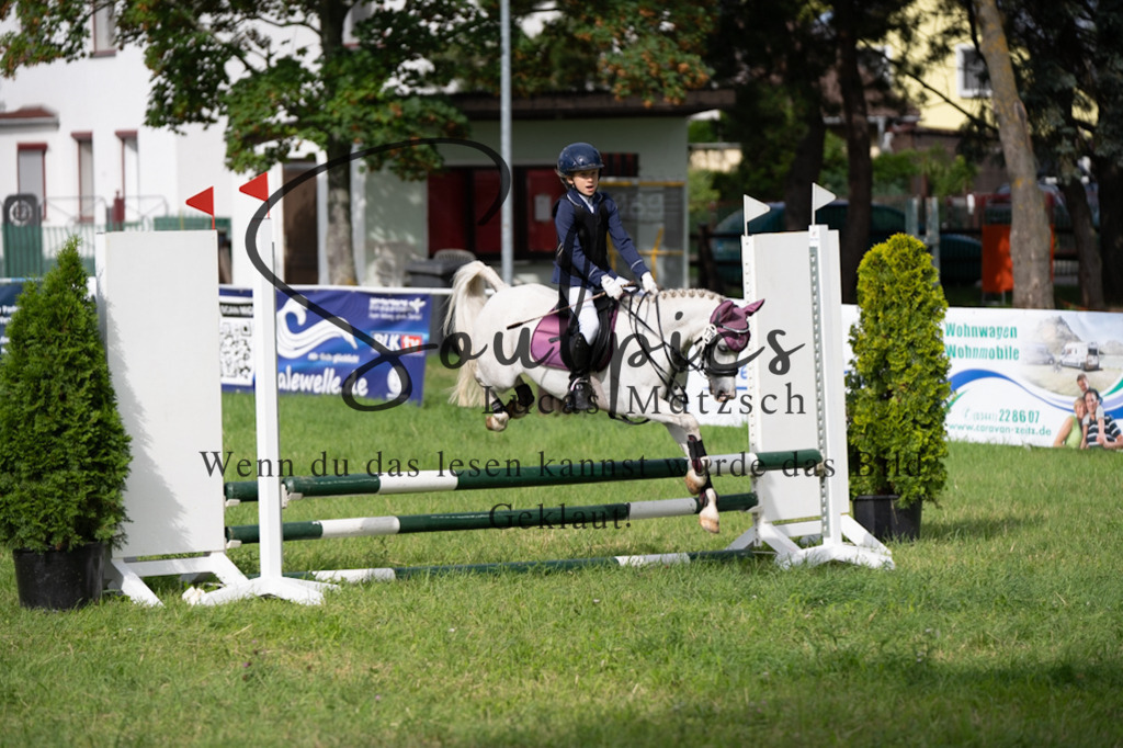 A7V03892 | Pferdefotograf