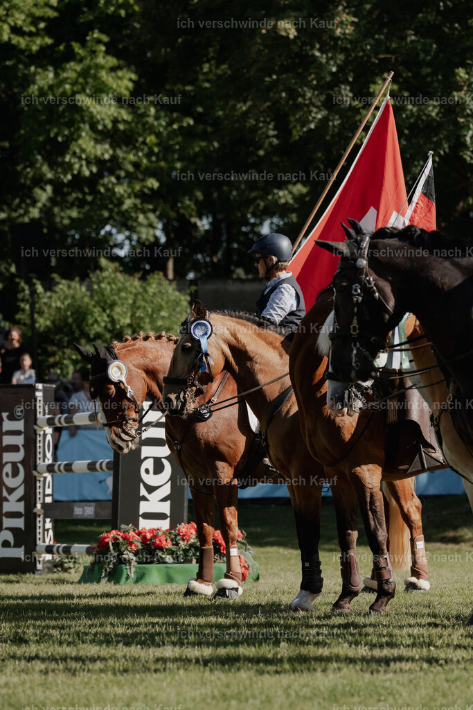 WE_MOS_Stoib_MOSSieger_PI2025_2459 | Pferd International München 2025