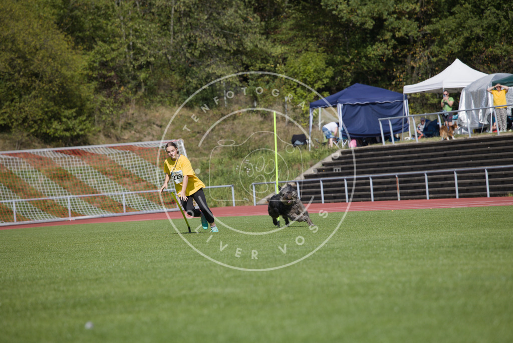 0L8A7221 | Hundefotografie, Tierfotograf, Pfotenfotografie, Fotoshooting Hund, Hunde Portrait, Hundesport, Hundeportraits, Heideshooting, Hunde, Sportfotograf, Hundefotograf, Turnierhundsport, THS,  - Realisiert mit Pictrs.com