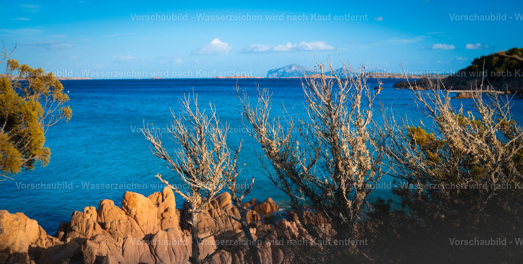 DSC09226 | marcuslinek