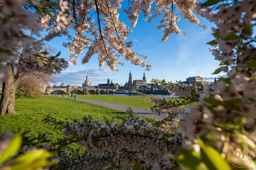 -0-9491-TOP | Geschenke, Wandbilder und Accessoires mit Motiven aus Dresden und anderen schönen Orten zur Verschönerung Deines zu Hauses und zum verschenken gewünscht? Wähle Deine Lieblingsbild auf dem Produkt Deiner Wahl. 