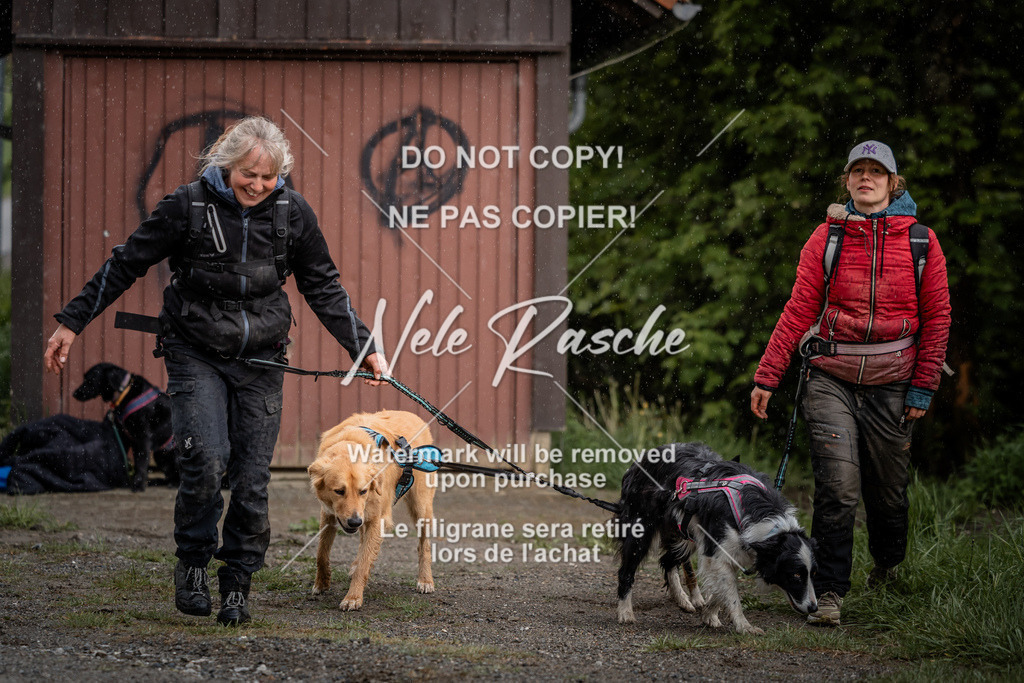 nelerasche_SoZieleinlauf_285 | nelerasche