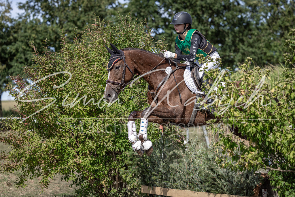 20250907-_3LI1532 | Tierfotografie Pferde, Hunde, Katzen, Haustiere.
Turnierfotografie Reitturniere, Reiten, Springreiten, Dressur in Hanau, dem Main-Kinzig-Kreis und dem Rhein-Main- Gebiet um Frankfurt