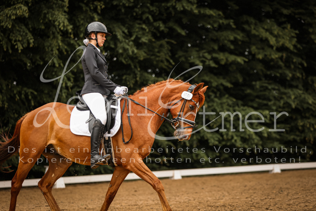 DoDrA200121 | Leoni Ertmer Photography - Realisiert mit Pictrs.com