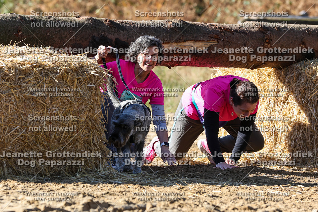 Dog Paparazzi - Strongdog 10-25-2863 | Dog Paparazzi Jeanette Grottendiek Fotografie & Videografie - Realisiert mit Pictrs.com