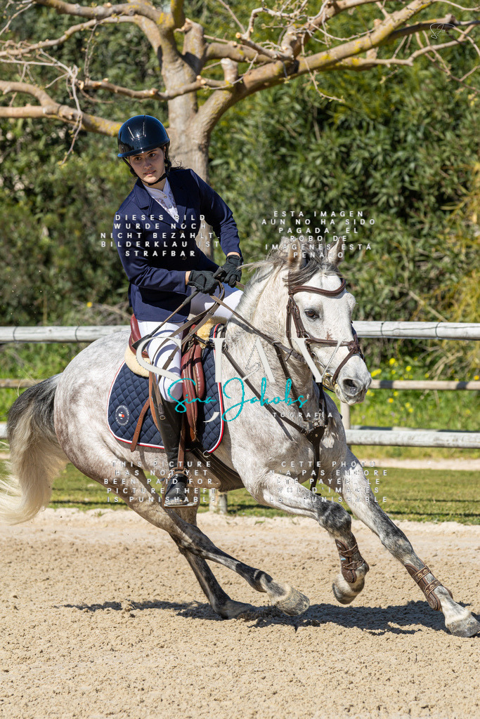 IMG_9796 | s-jay-photography - Realisiert mit Pictrs.com