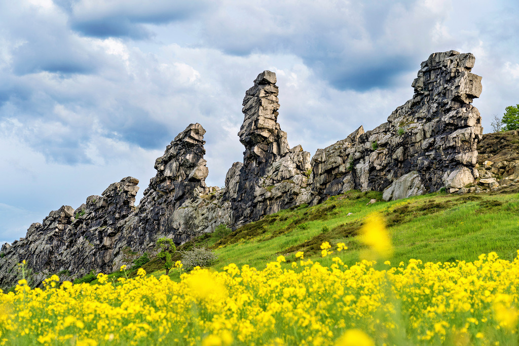 Die Teufelsmauer im Rapsfeld | Die Teufelsmauer im Harz mitten in der Raps-Blüte. - Realisiert mit Pictrs.com