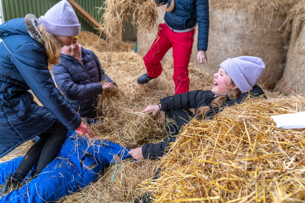 EAF_2181 | Eilun-Art-Fotografie Levke Martens, ihre Fotografin für Immobilien- und Landschaftsfotografie auf Föhr, Föhrer Motive als Poster, Leinwand, hinter Acrylglas oder stelle dir deinen eigenen Monatskalender zusammen, mit nur einem Klick