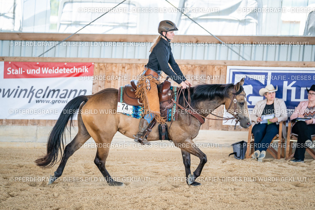 DSC03392 | Pferdegrafie