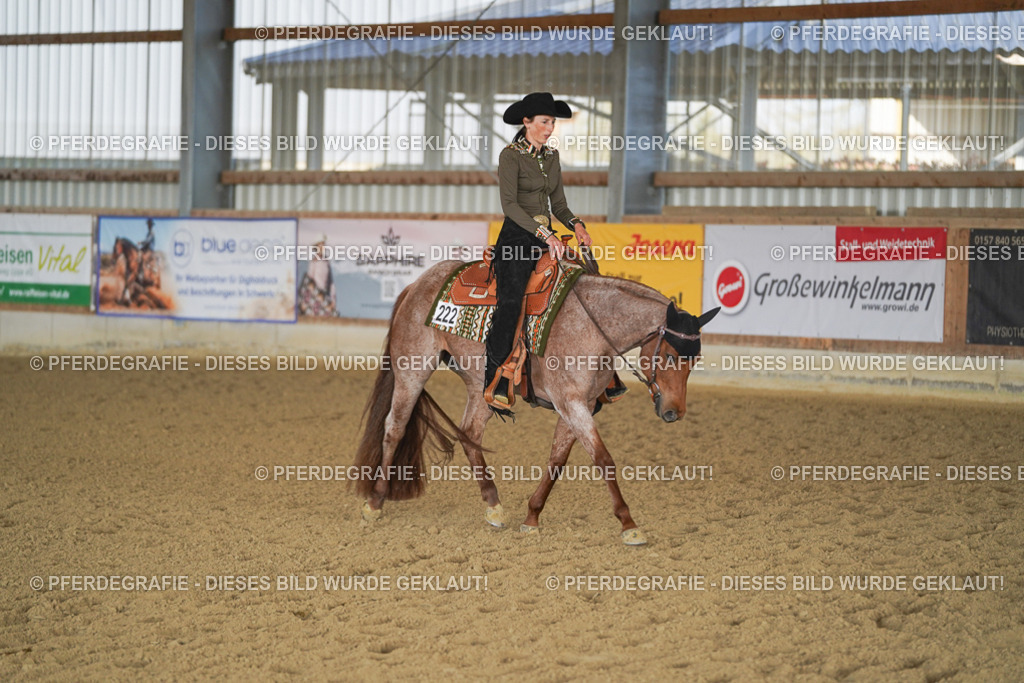 DSC09221 | Pferdegrafie