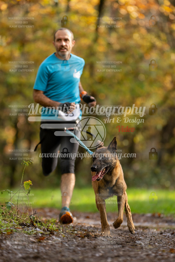 MompixPhotography_Bischwiller23_Canicross-38 | PayLife
