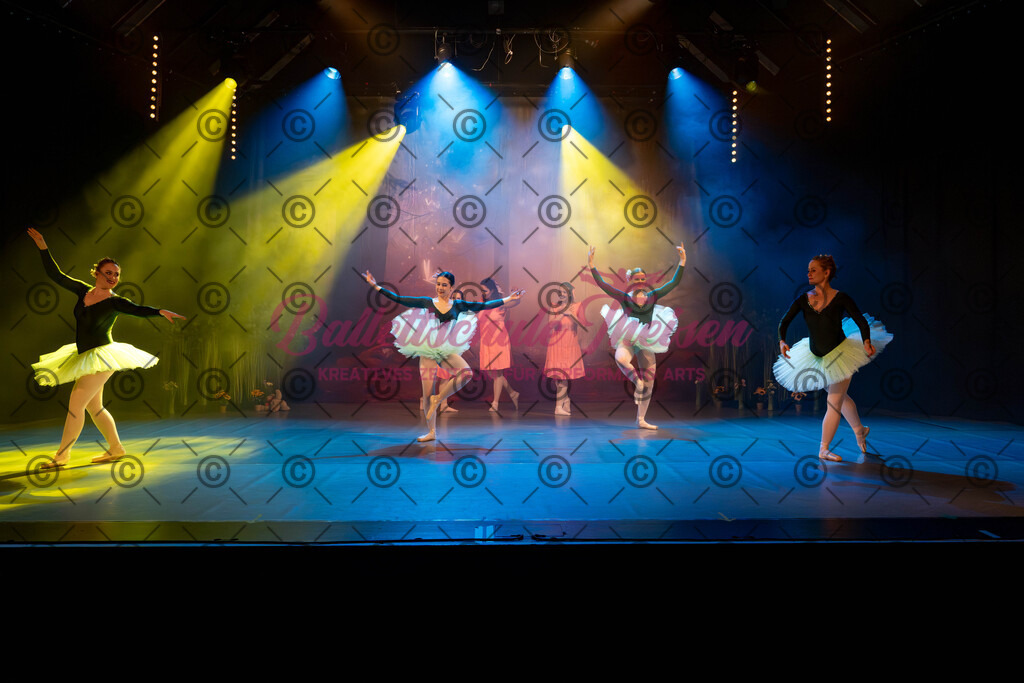 Ballettaufführung-78 | Bildershop Lem'n Entertainment - Realisiert mit Pictrs.com
