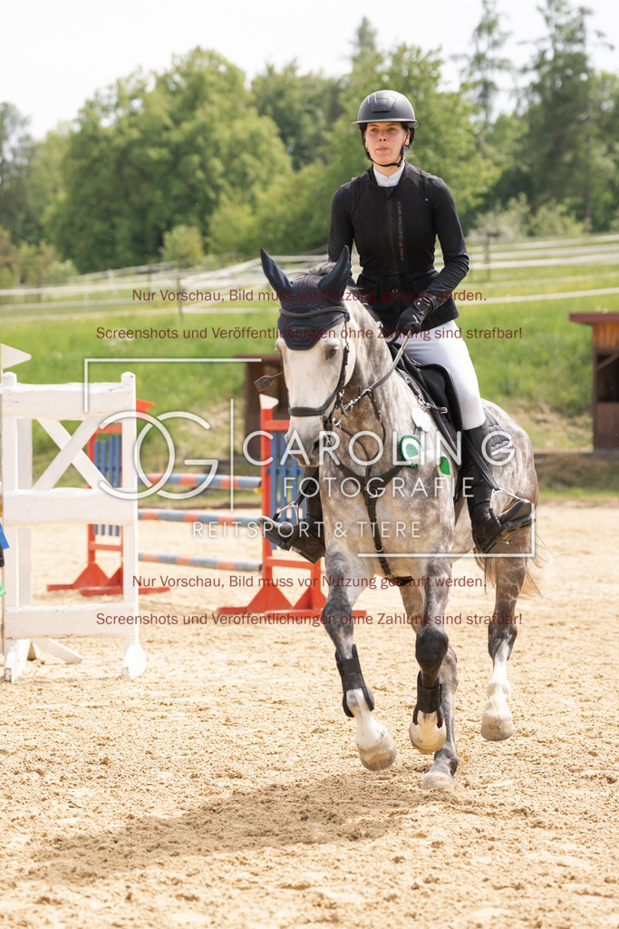 DSC06851 | Springturnier_Ehingen_Mai_2026, Anika_Ramminger, Hakuna_Matata_32