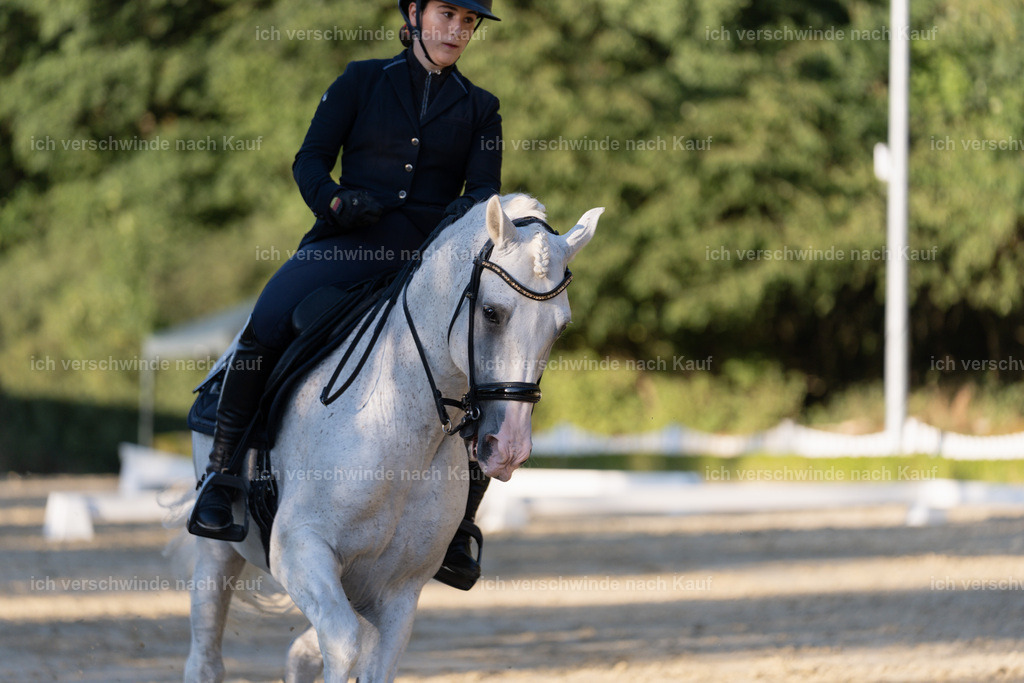 WM_DR_133_sinafilmart_IN04941 | working equitationturnier fotograf videograf stoibphotography marixx film working equitation deutschland reitsport turnierfotografie eventfotografie equestrian events