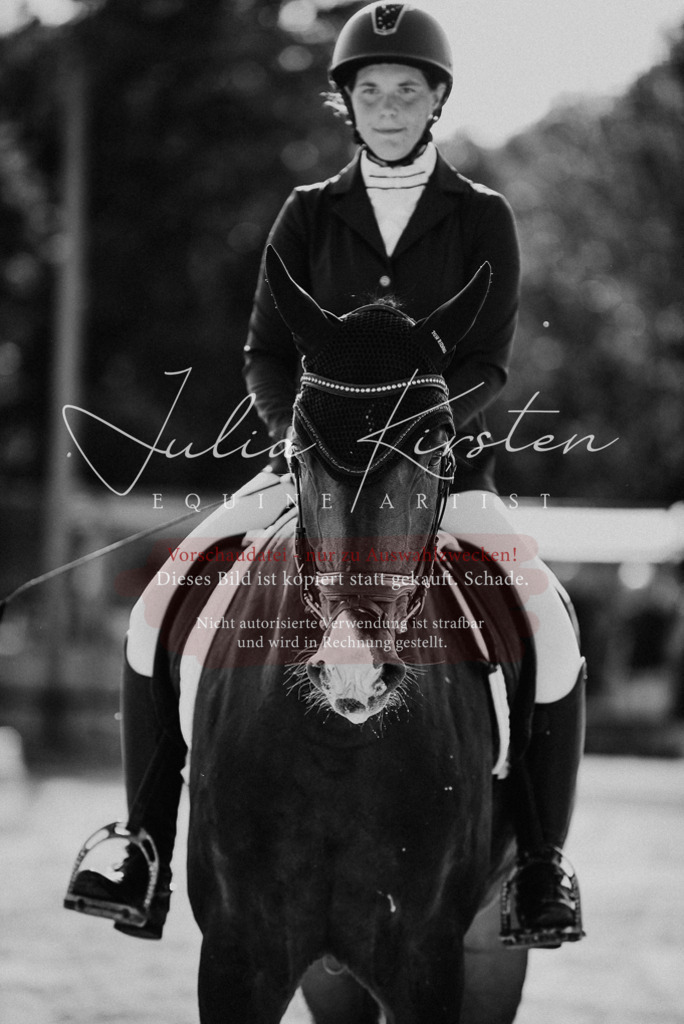 DSC_0660 | Pferde- und Turnierfotografie in Westsachsen. Pferdeportraits, Auftragszeichnungen und intuitive Kunst.