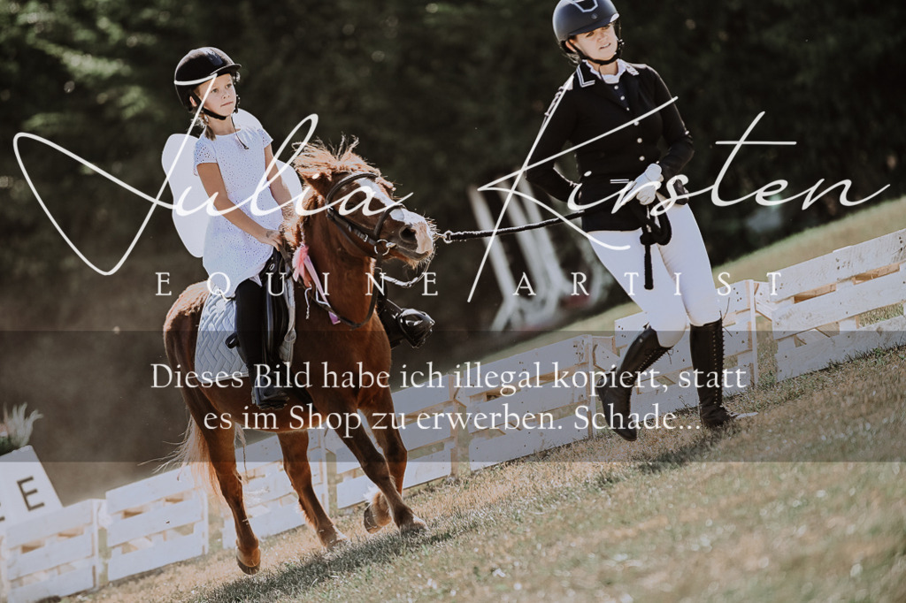 DSC_8915 | Pferde- und Turnierfotografie in Westsachsen. Pferdeportraits, Auftragszeichnungen und intuitive Kunst.