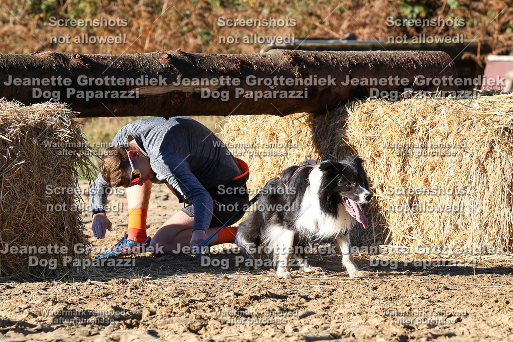 Dog Paparazzi - Strongdog 10-25-1763 | Dog Paparazzi Jeanette Grottendiek Fotografie & Videografie - Realisiert mit Pictrs.com
