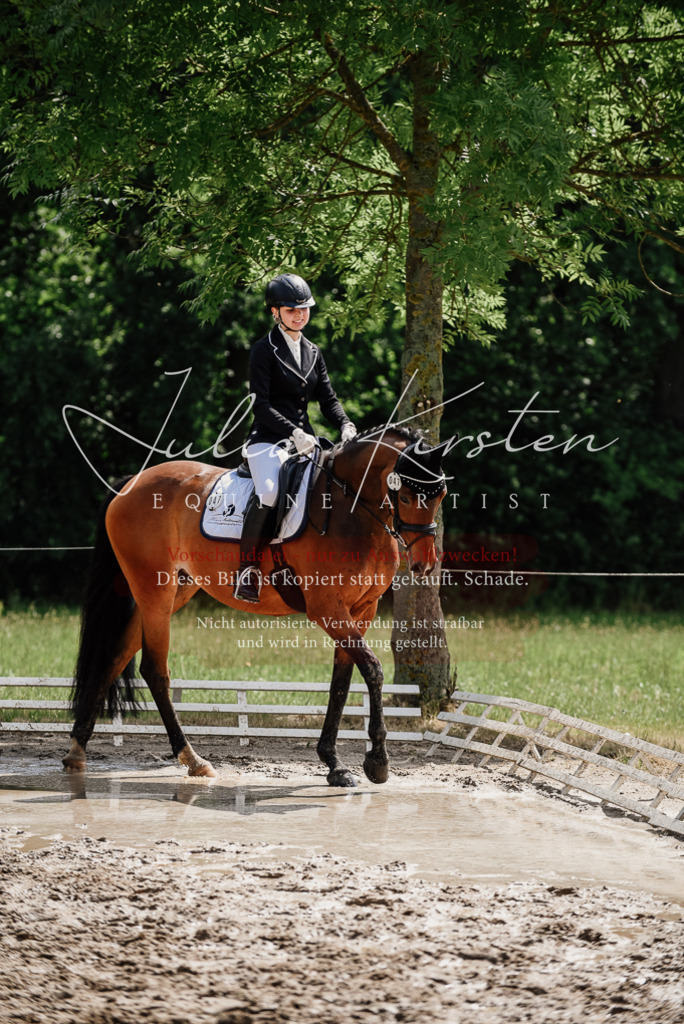DSC_0883 | Pferde- und Turnierfotografie in Westsachsen. Pferdeportraits, Auftragszeichnungen und intuitive Kunst.