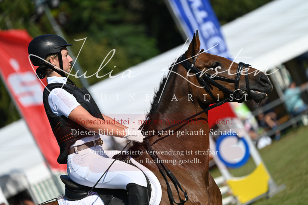 DSC_5301 | Pferde- und Turnierfotografie in Westsachsen. Pferdeportraits, Auftragszeichnungen und intuitive Kunst.