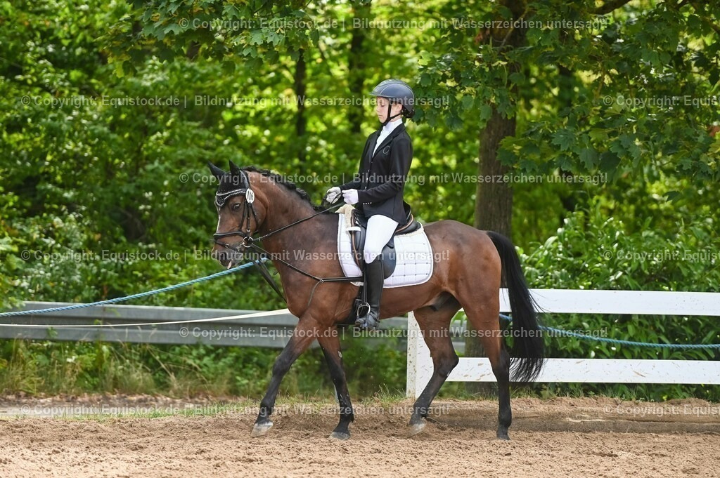 20230716_10-2_Reiter-WB Schritt - Trab - Galopp_0190 | equistock