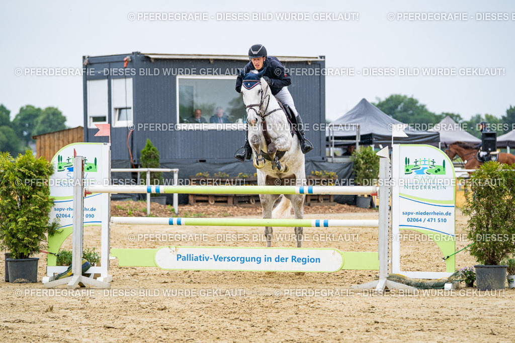 DSC07528 | Pferdegrafie