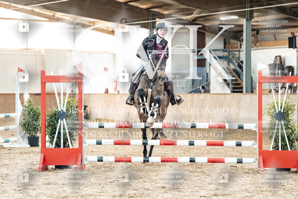 CK904228 | Turnierfotografie Pferdefotografie Trier Rheinland-Pfalz Pferdesport Reitsport Tierfotografie Sportfotografie Pferdevideo Pferdevideografie Equestrianvideography equestrianphotography  - Realized with Pictrs.com