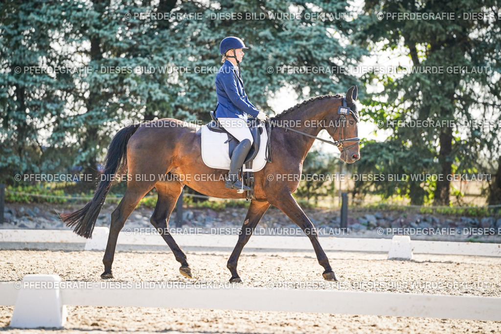 DSC09166 | Pferdegrafie