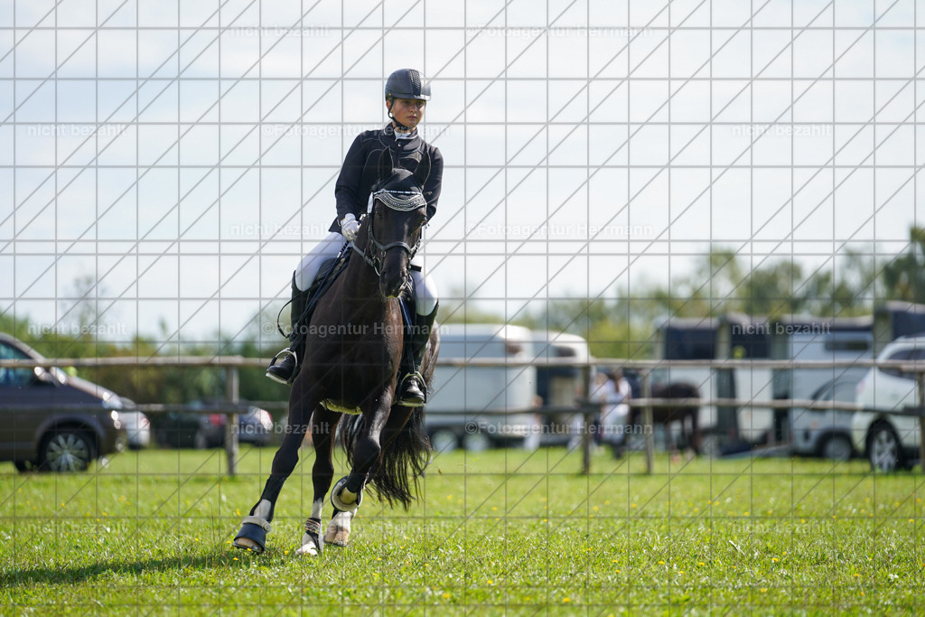 20230917-FAH09308 | Landsberg am Lech, 2023, Kaufbeuren, Kempten, Allgäu, Turnierfotografen Bayern, Fotoagentur Herrmann, Turnierbilder, Reitsport Fotos, Pferdefotograf, Augsburg, Bad Tölz, Dachau, Karlsfeld, Memmingen, Buchloe, Schwabmünchen
