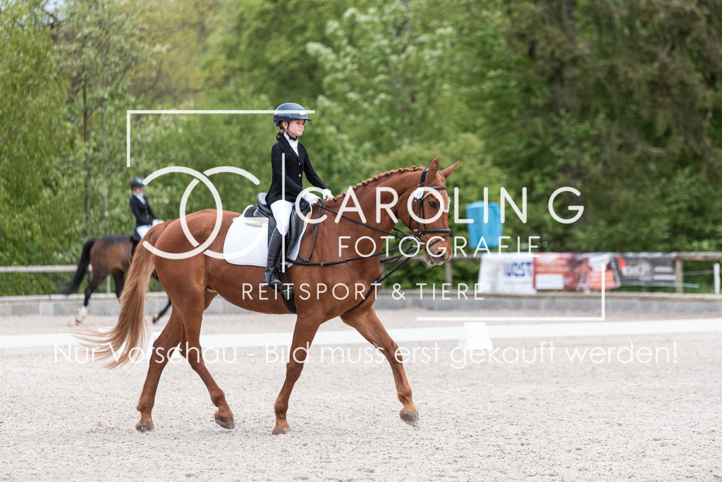 DSC_6558 | Turnierfotografin Carolin Gieschke, Turnierfotografie Carolin G Fotografie, Turnierfotos Kirchheim/Teck, Esslingen, Stuttgart, Bodenseekreis