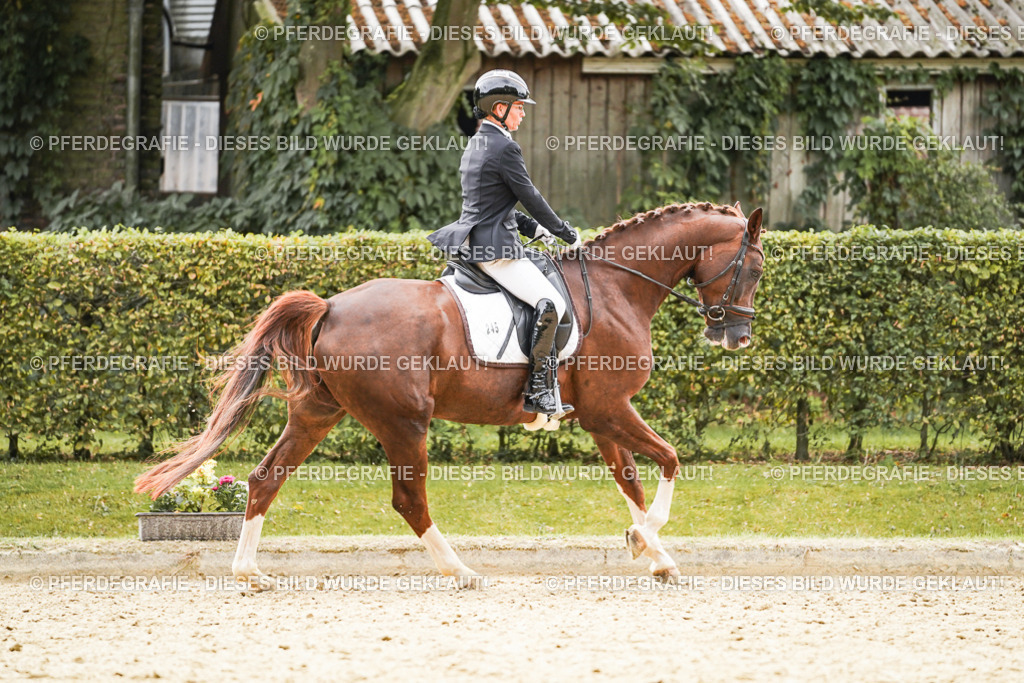 DSC01565 | Pferdegrafie