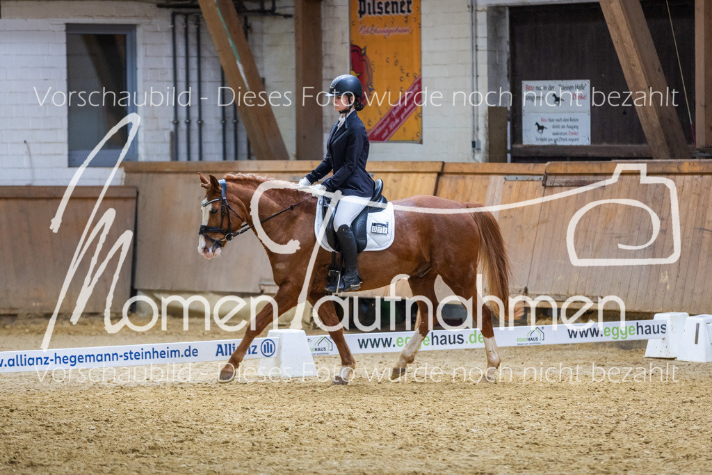 _M2A1590 | MomenTaufnahmen Pferdesportfotos