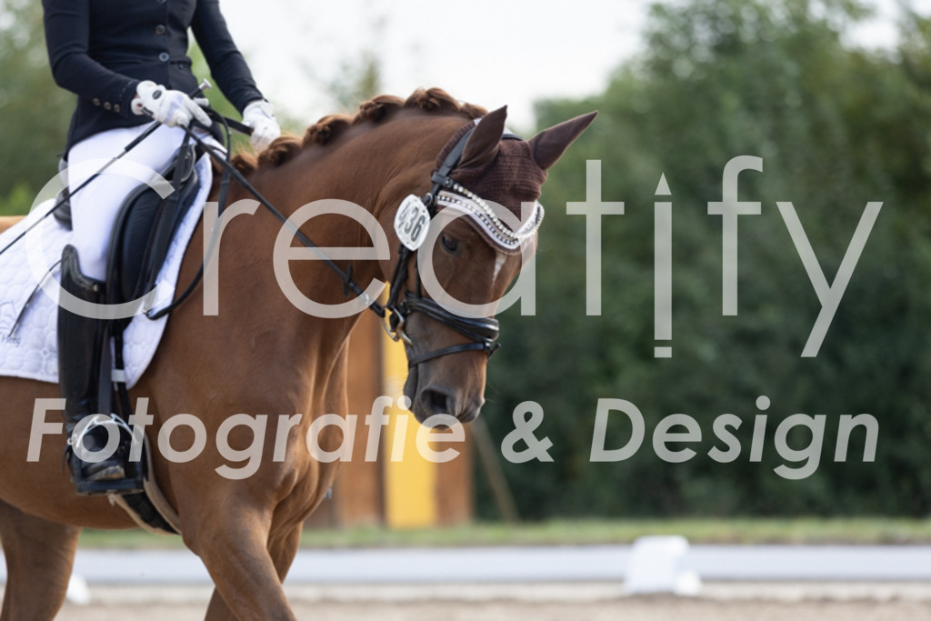 IMG_9889 | Creatify Fotografie