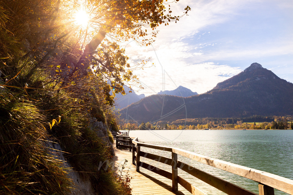 Herbst am Wolfgangsee | Ihre Fotografin im Lungau, ihre Fotografin im Mostviertel, Wandbilder Onlineshop, Imagefotos für Ihr Unternehmen,  - Realisiert mit Pictrs.com