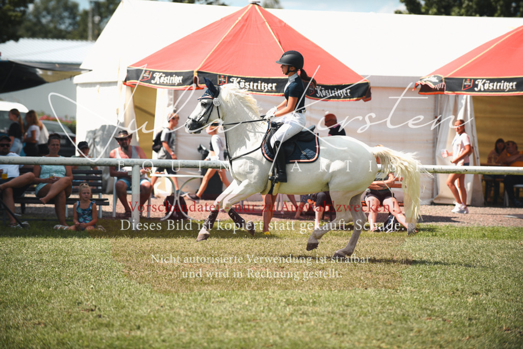 DSC_6740 | Pferde- und Turnierfotografie in Westsachsen. Pferdeportraits, Auftragszeichnungen und intuitive Kunst.
